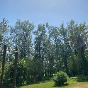 Chalet en pleine nature La Roquette-sur-Siagne
